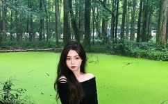 韩国美女激情视频一区二区